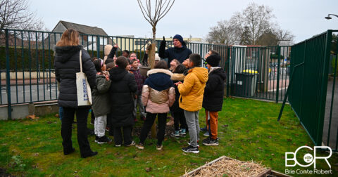 Cours végétalisée