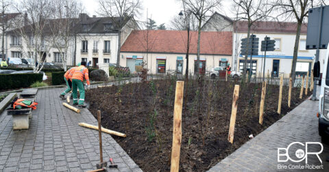 Fôret urbaine