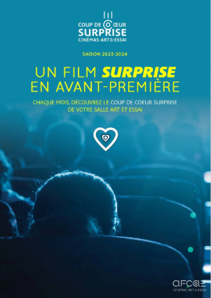 Affiche du film "Coup de coeur surprise"
